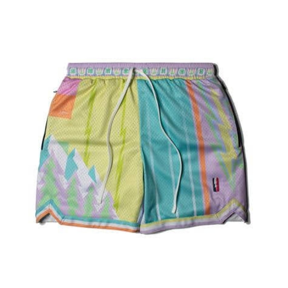 Trillest Establishment "What the Pastel?!" Shorts - Picture 2 of 3